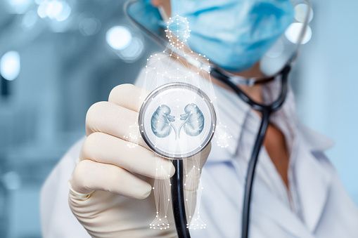 Signs You Should Visit a Urology Specialist